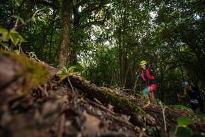 BIB: 213, 353
                            <button type="button" onclick="openModal(16007826)" class="btn btn-primary btn-sm float-right btn-popup" data-toggle="modal" data-target=".modal-high-quality">
                        <i class="fas fa-shopping-cart"></i> Add to Cart
                    </button>
                                            <button type="button" onclick="isThisMe(16007826, true)" class="btn btn-success btn-sm float-right btn-popup btn-isme hidden" data-toggle="tooltip" data-placement="bottom" title="นี่คือรูปของคุณใช่ไหม คลิกที่นี่เพื่อเอาเข้าอัลบั้ม">
                        <i class="fas fa-plus"></i> Add to album
                    </button>
                    <button type="button" onclick="isThisMe(16007826, false)" class="btn btn-warning btn-sm float-right btn-popup btn-isnotme hidden">
                        <i class="fas fa-ban"></i> Remove from album
                    </button>